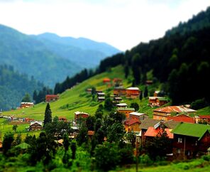 Karadeniz Yaylaları Turu