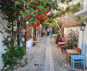 İzmir Karaburun Nergis Festivali