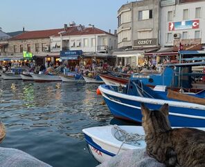 Eski Foça - Ayvalık - Cunda - Bozcaada - Çanakkale